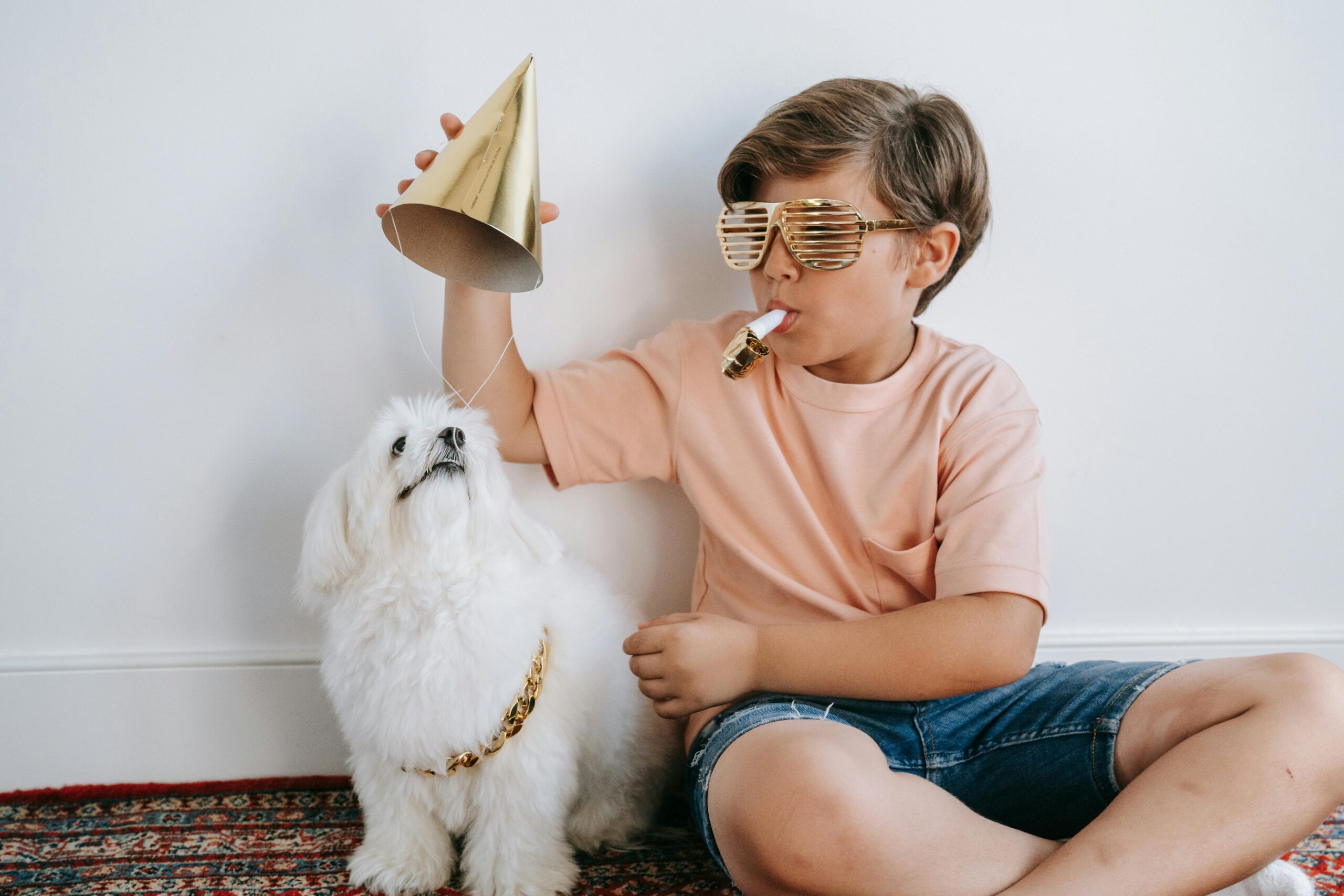 Professional Puppy Party Services: What to Expect When Booking